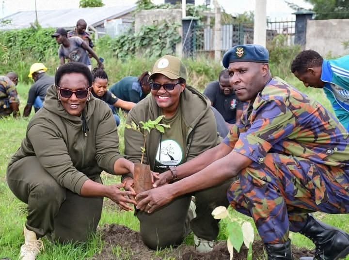 Volunteers planting trees